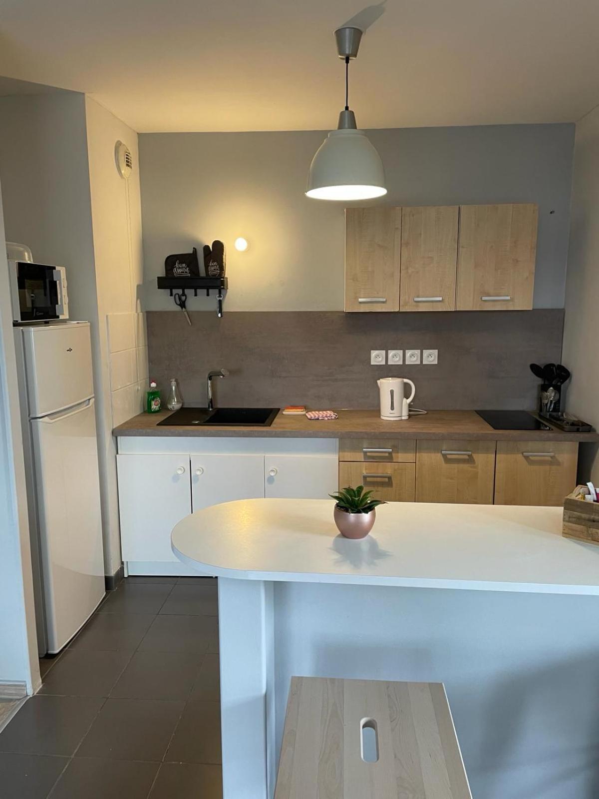 2 Avec Terrasse Et Garage Saint-Andre-lez-Lille