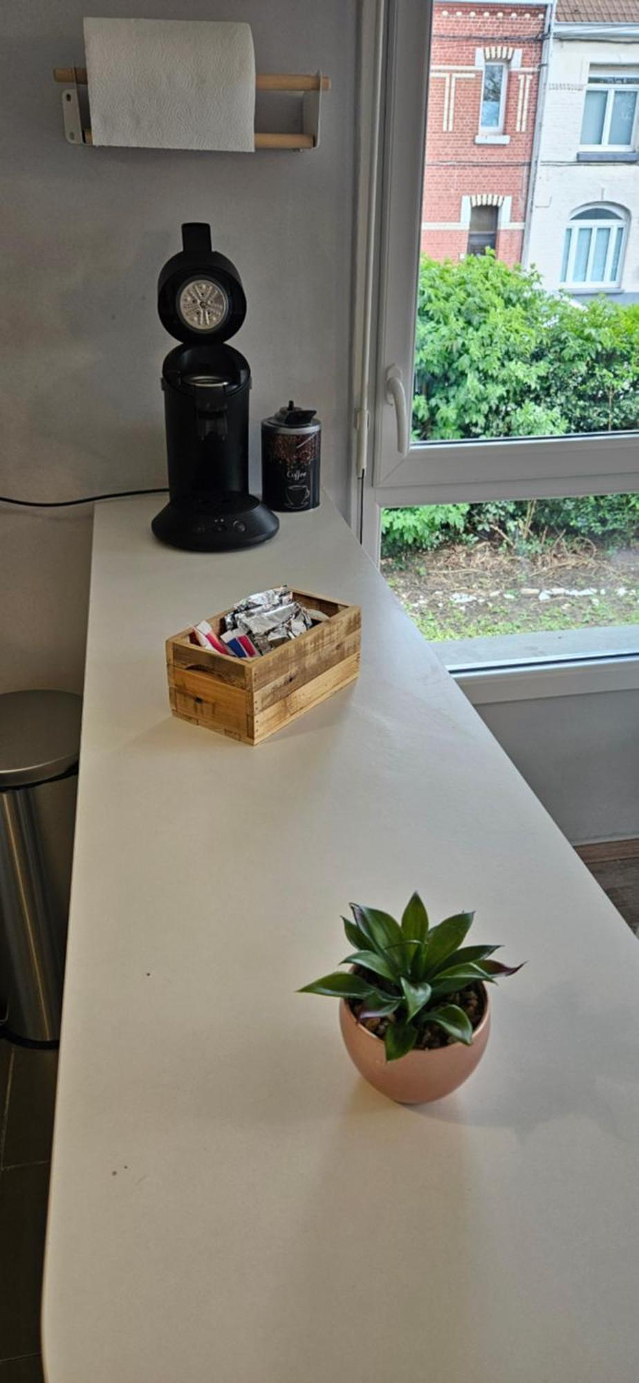 2 Avec Terrasse Et Garage Saint-Andre-lez-Lille